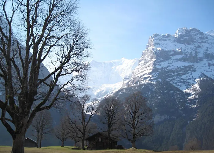 Superior Apartment 100M2 Bodmisonne - Grindelwald